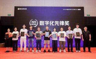 数字化先锋奖
